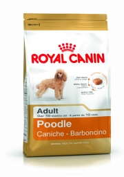 Royal Canin Poodle Adult száraz táp