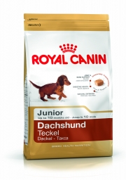 Royal Canin Dachshund Junior 30 kutyaeledel