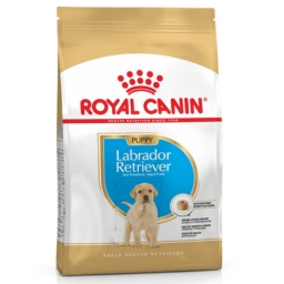 Royal Canin Labrador Junior száraz táp
