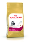 Royal Canin Kitten Persian 32 száraz