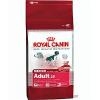 Royal Medium Adult 