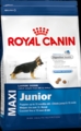 Royal Maxi Junior kutyaeledel