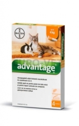 BAYER ADVANTAGE up to 4 kg