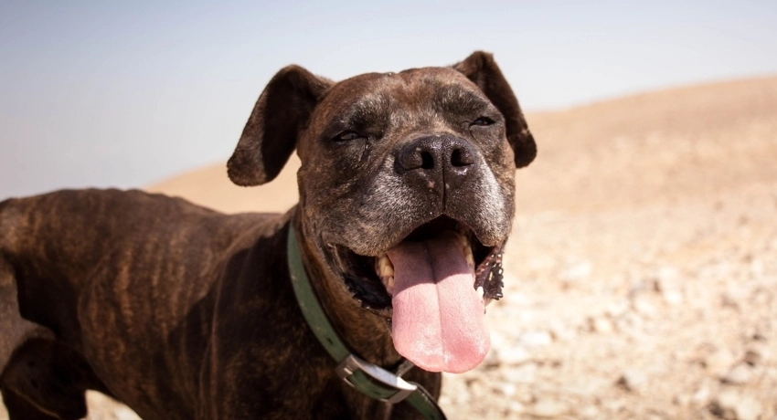 5 tipp hőguta megelőzésére