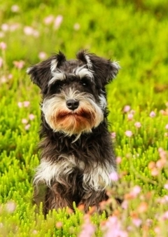 Itt a tavasz! Készülj fel...